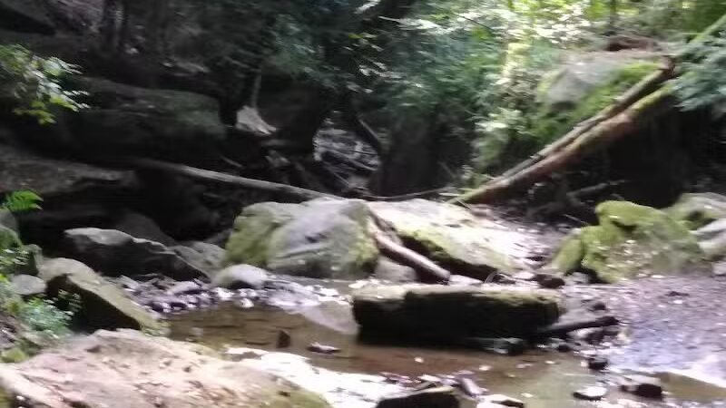 Dundee Falls - Dundee, OH