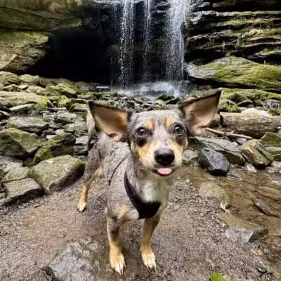 Dundee Falls Trailhead - Dundee, OH