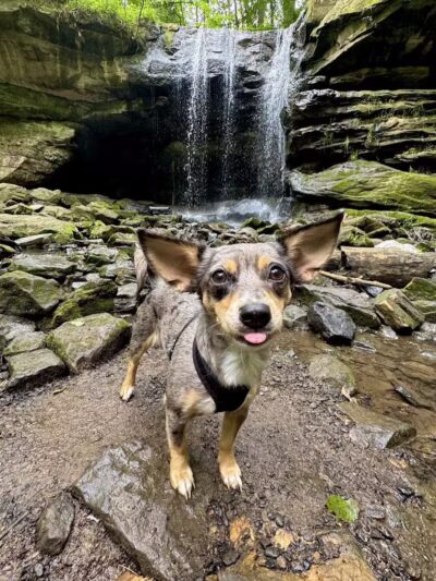 Dundee Falls Trailhead - Dundee, OH