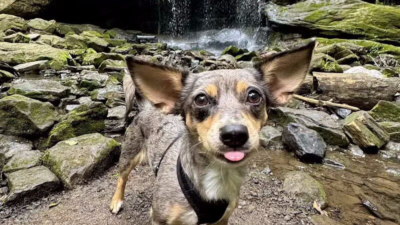 Dundee Falls Trailhead - Dundee, OH