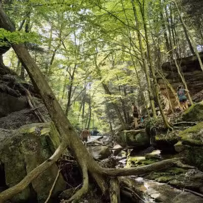 Dundee Falls Trailhead - Dundee, OH