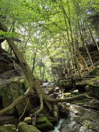Dundee Falls Trailhead - Dundee, OH