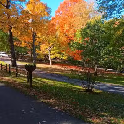 Thompson Park - East Liverpool, OH