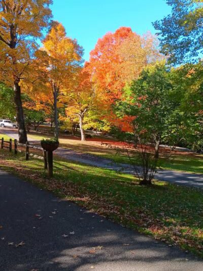 Thompson Park - East Liverpool, OH