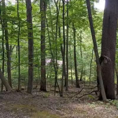 Thompson Park - East Liverpool, OH