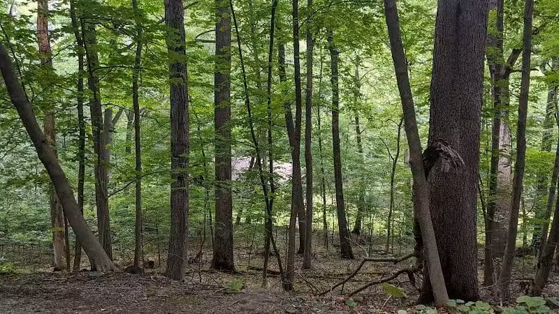 Thompson Park - East Liverpool, OH