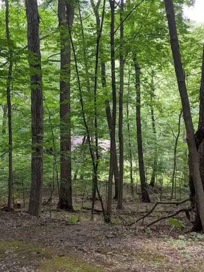 Thompson Park - East Liverpool, OH