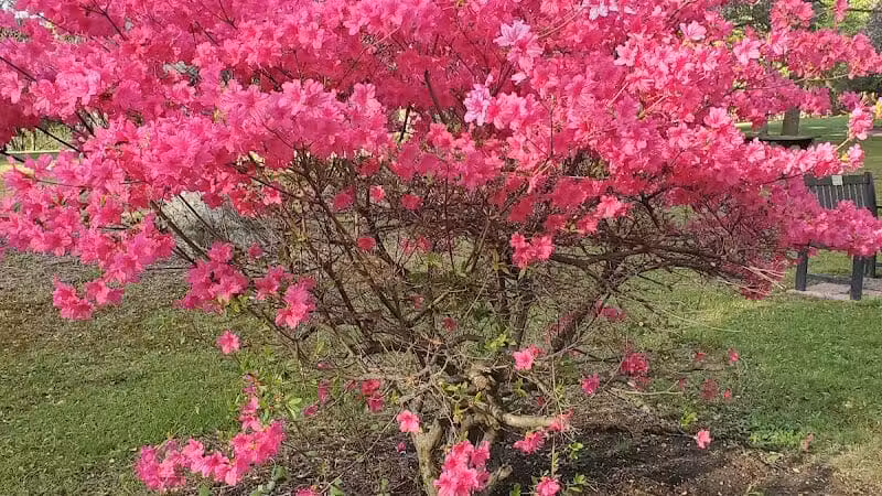 Thompson Park - East Liverpool, OH