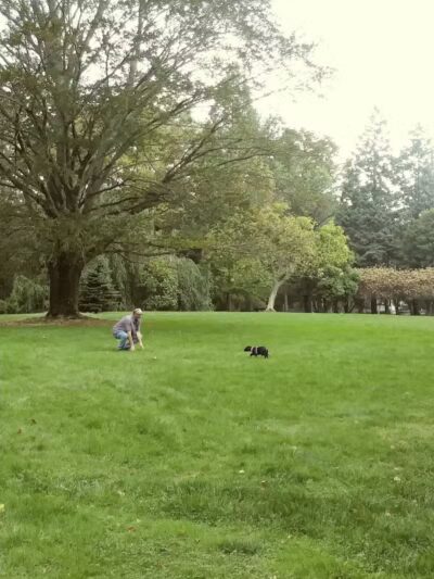 Thompson Park - East Liverpool, OH