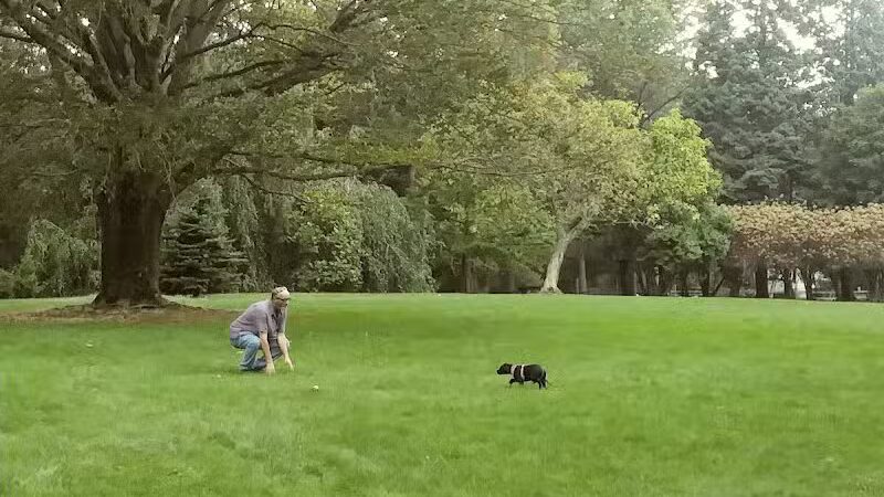 Thompson Park - East Liverpool, OH