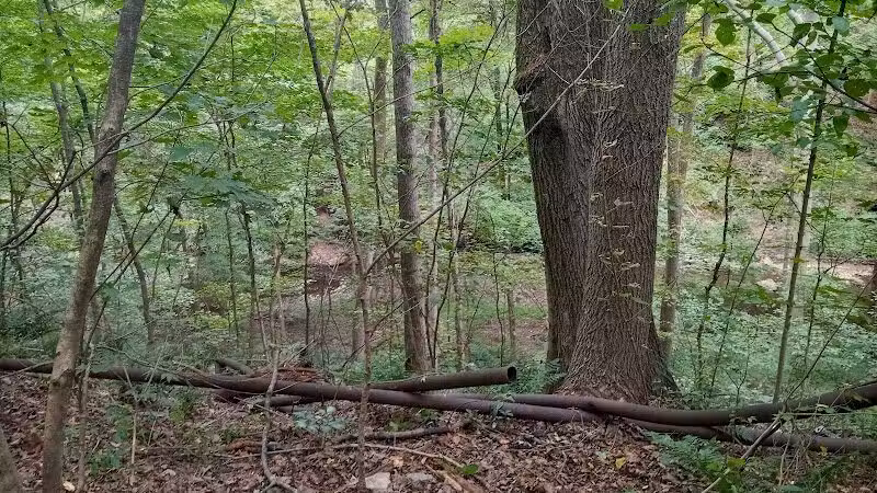 East Palestine City Park - East Palestine, OH