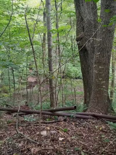 East Palestine City Park - East Palestine, OH