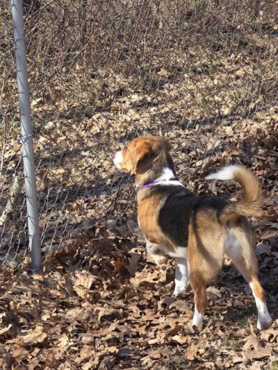 East Palestine City Park - East Palestine, OH