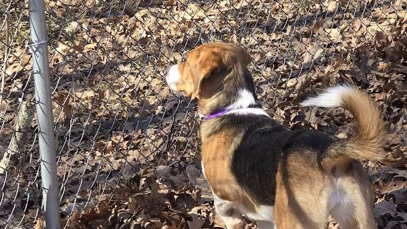 East Palestine City Park - East Palestine, OH