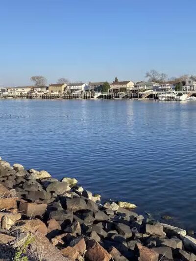 Bay Park Dog Park - East Rockaway, NY