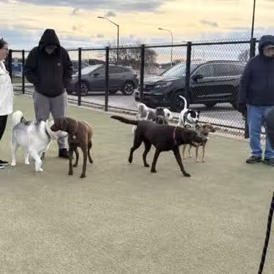 Bay Park Dog Park - East Rockaway, NY