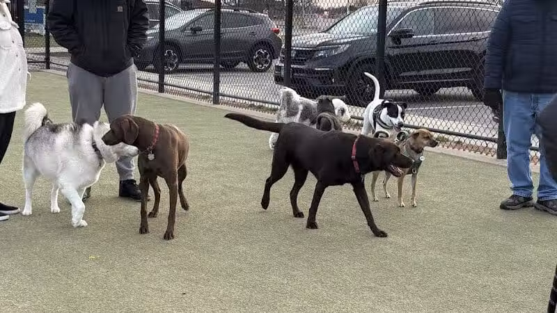 Bay Park Dog Park - East Rockaway, NY