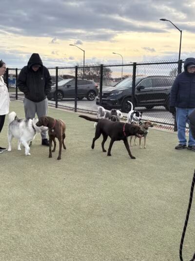Bay Park Dog Park - East Rockaway, NY