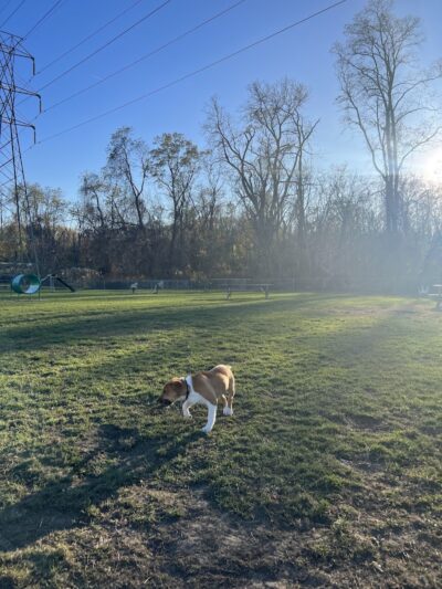 Woodland Park - Eastlake, OH