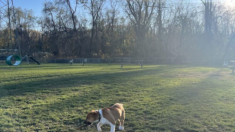 Woodland Park - Eastlake, OH