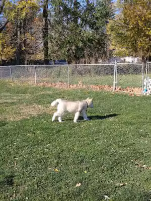 Woodland Park - Eastlake, OH