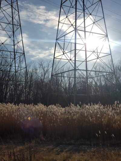 Woodland Park - Eastlake, OH