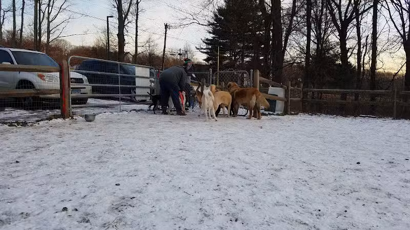 Easton Dog Park - Easton, CT