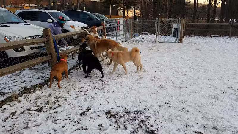 Easton Dog Park - Easton, CT