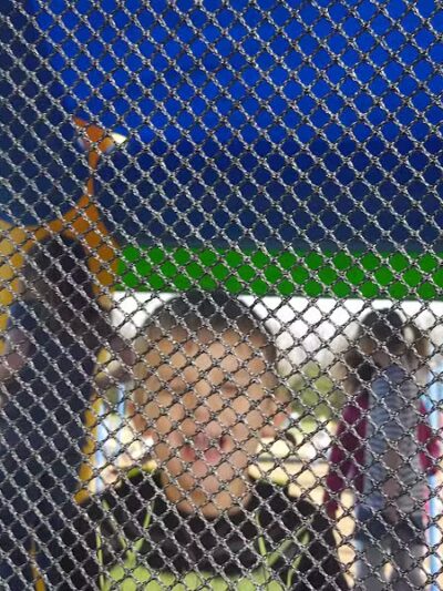 Martin Creek Dog Park - Edgerton, KS