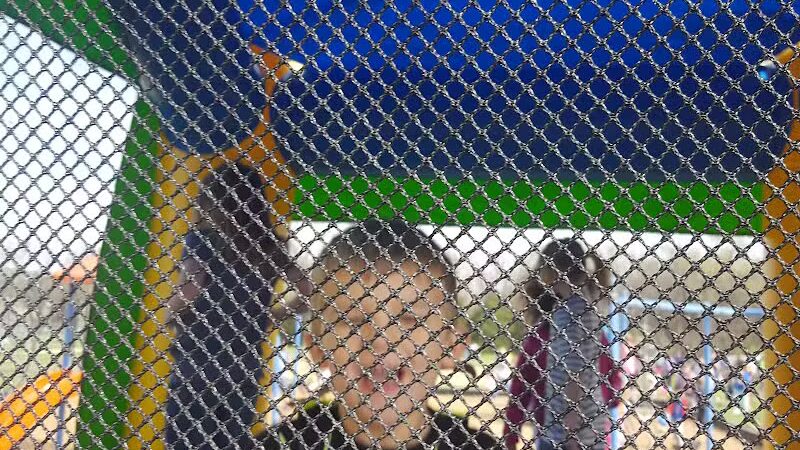 Martin Creek Dog Park - Edgerton, KS