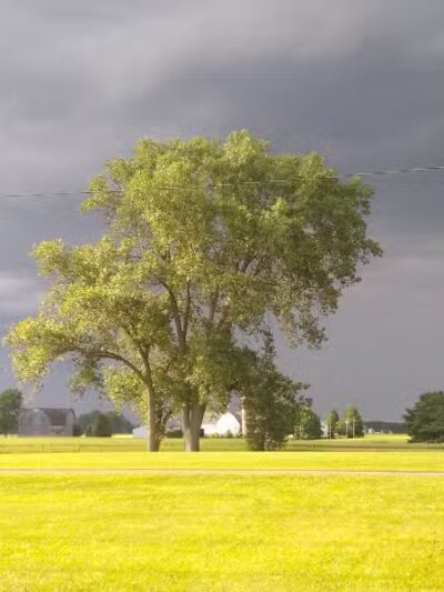 Miller Park - Edgerton, OH