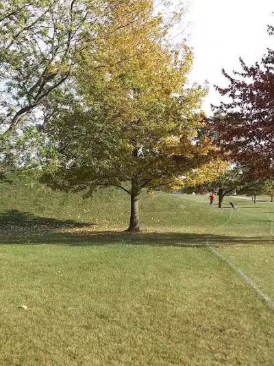 Miller Park - Edgerton, OH