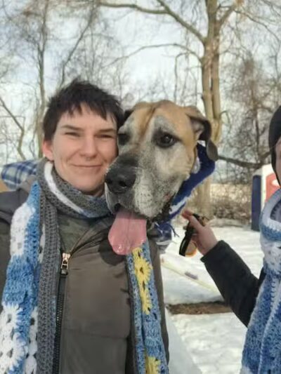 Edgerton Dog Park - Edgerton, WI