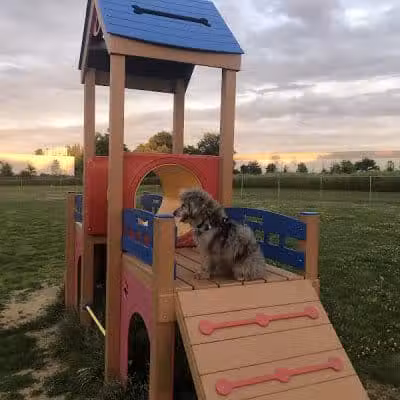 Edison-Metuchen Community Dog Park - Edison, NJ