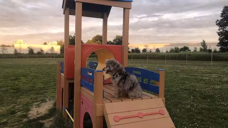 Edison-Metuchen Community Dog Park - Edison, NJ