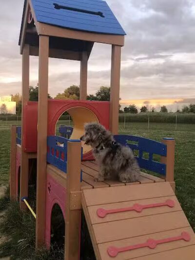 Edison-Metuchen Community Dog Park - Edison, NJ