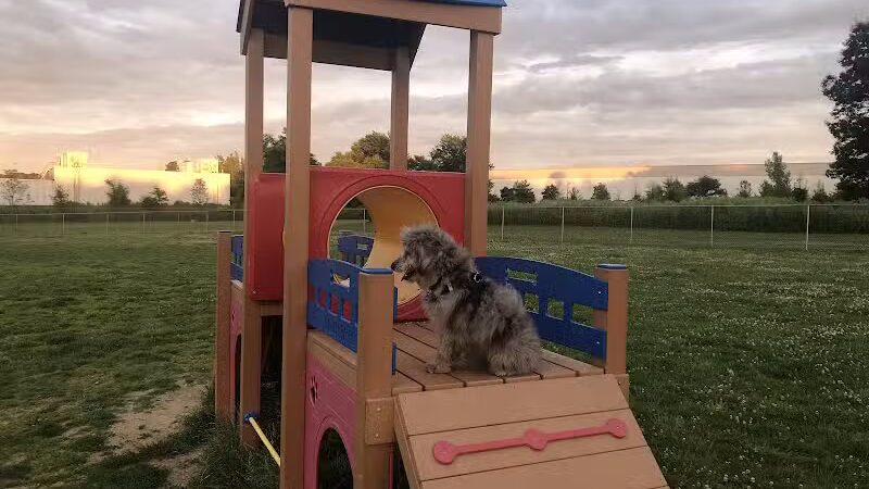 Edison-Metuchen Community Dog Park - Edison, NJ
