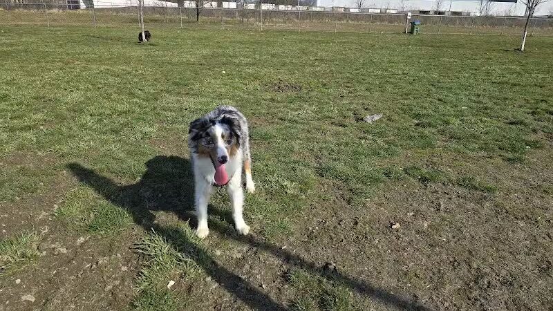 Edison-Metuchen Community Dog Park - Edison, NJ