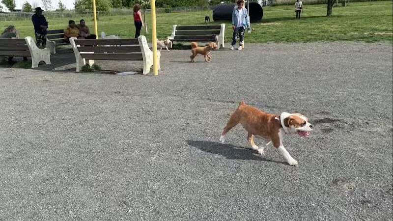 Edison-Metuchen Community Dog Park - Edison, NJ