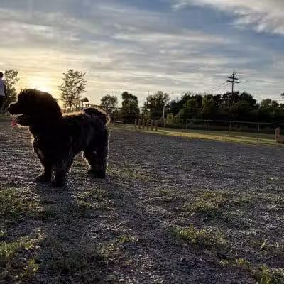 Edison-Metuchen Community Dog Park - Edison, NJ