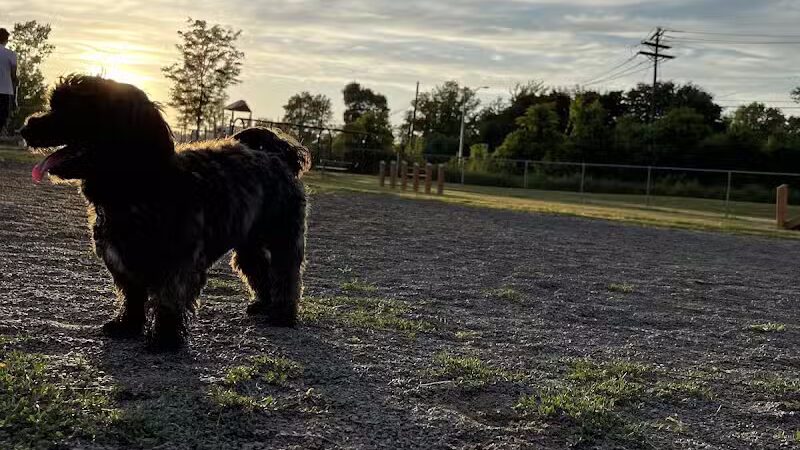 Edison-Metuchen Community Dog Park - Edison, NJ