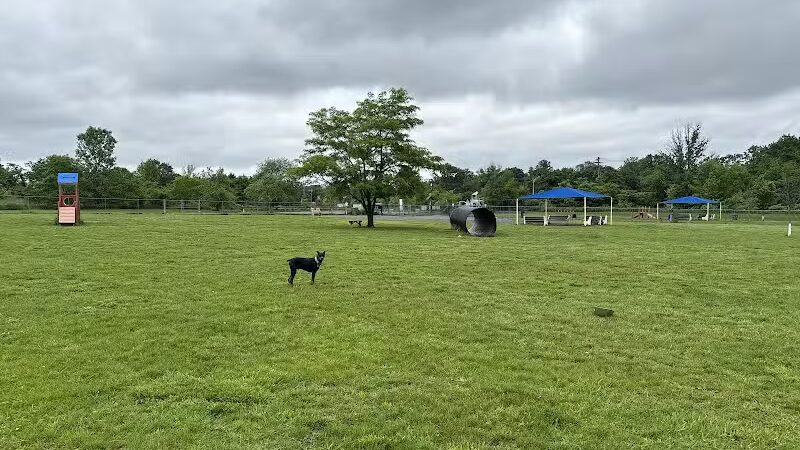 Edison-Metuchen Community Dog Park - Edison, NJ