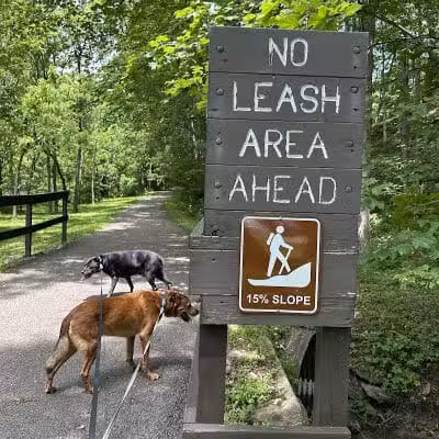 Mingo Creek Dog Park - Eighty Four, PA
