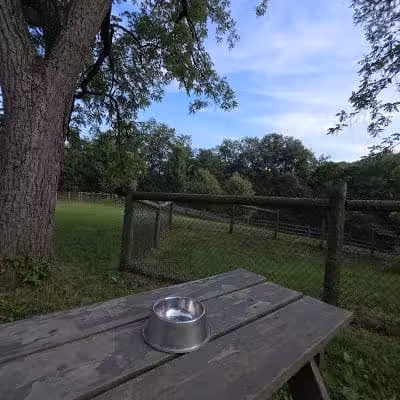 Mingo Creek Dog Park - Eighty Four, PA
