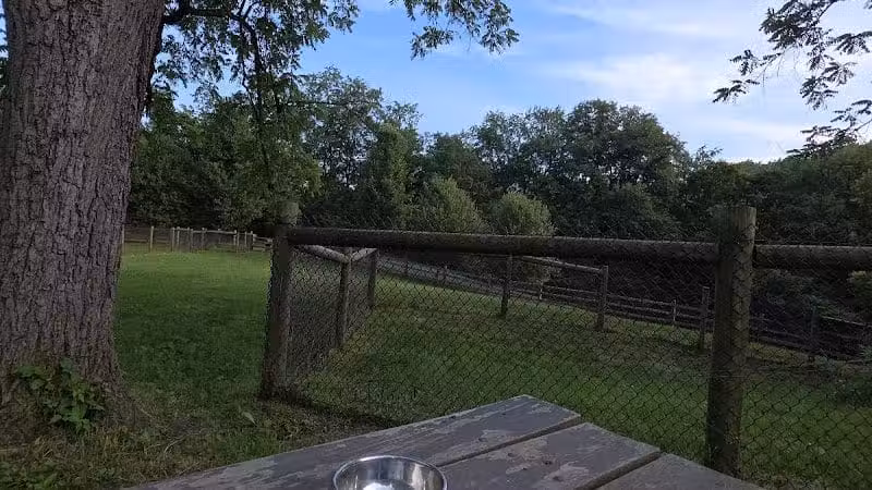 Mingo Creek Dog Park - Eighty Four, PA