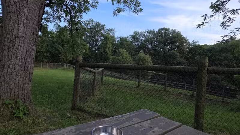 Mingo Creek Dog Park - Eighty Four, PA