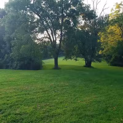 Mingo Creek Dog Park - Eighty Four, PA
