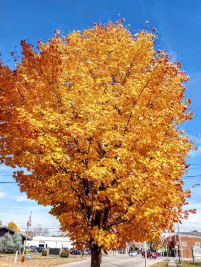 Ory Park - Elmore, OH