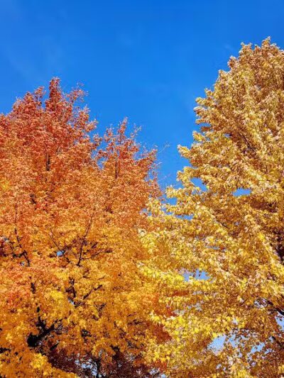 Ory Park - Elmore, OH