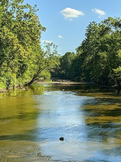 Black River Reservation Bur Oak - Elyria, OH